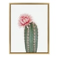 thumbnail image 1 of Kate and Laurel Sylvie Pink Cactus Flower Framed Canvas Wall Art by Amy Peterson, 18x24 Gold, 1 of 5