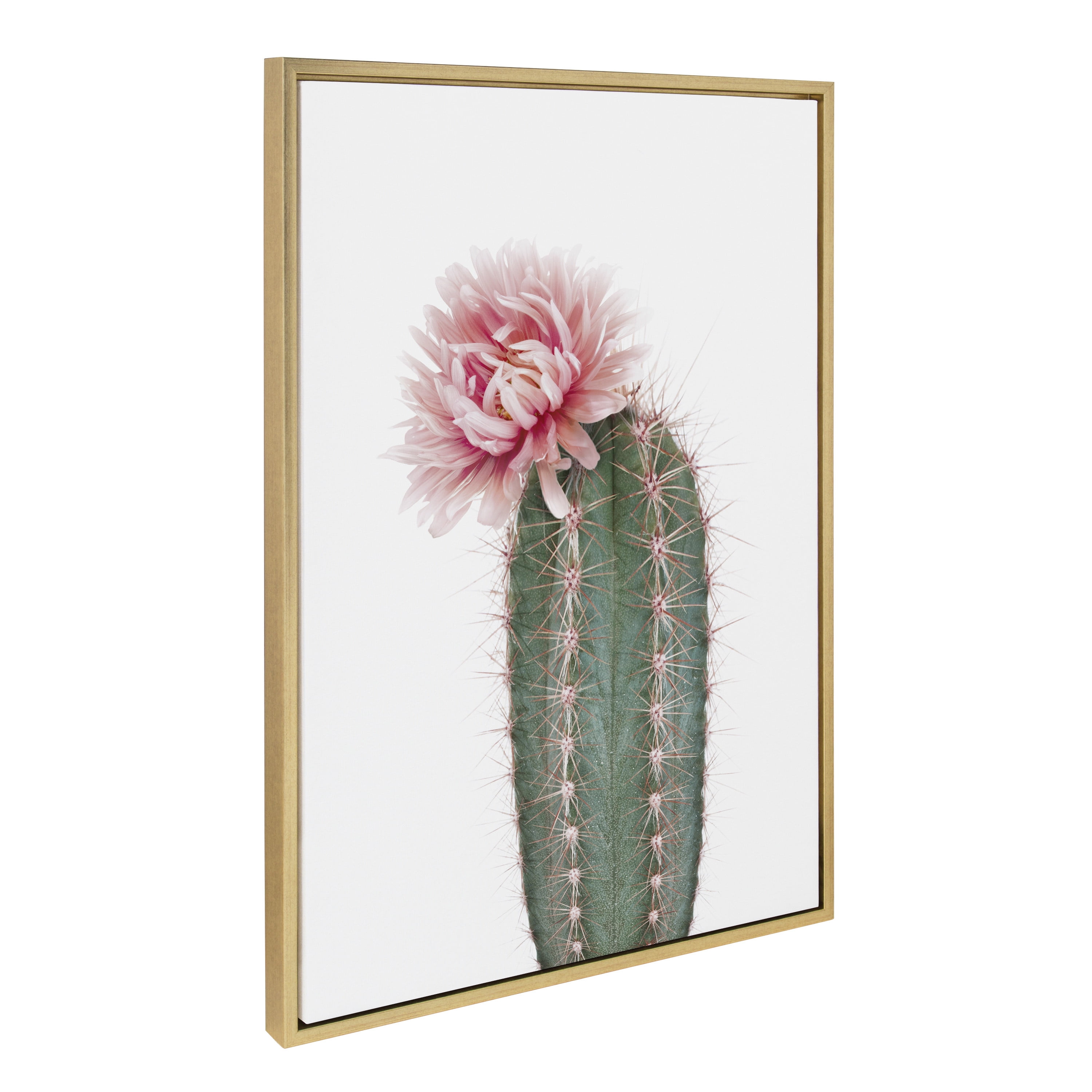 Pink Cactus Flower Framed Canvas Wall Art