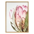 thumbnail image 1 of Kate and Laurel Sylvie Pink Protea Flower Framed Canvas Wall Art by Amy Peterson, 28x38 Natural, 1 of 5