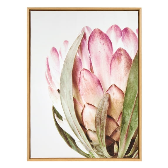 Kate and Laurel Sylvie Pink Protea Flower Framed Canvas Wall Art by Amy Peterson, 28x38 Natural
