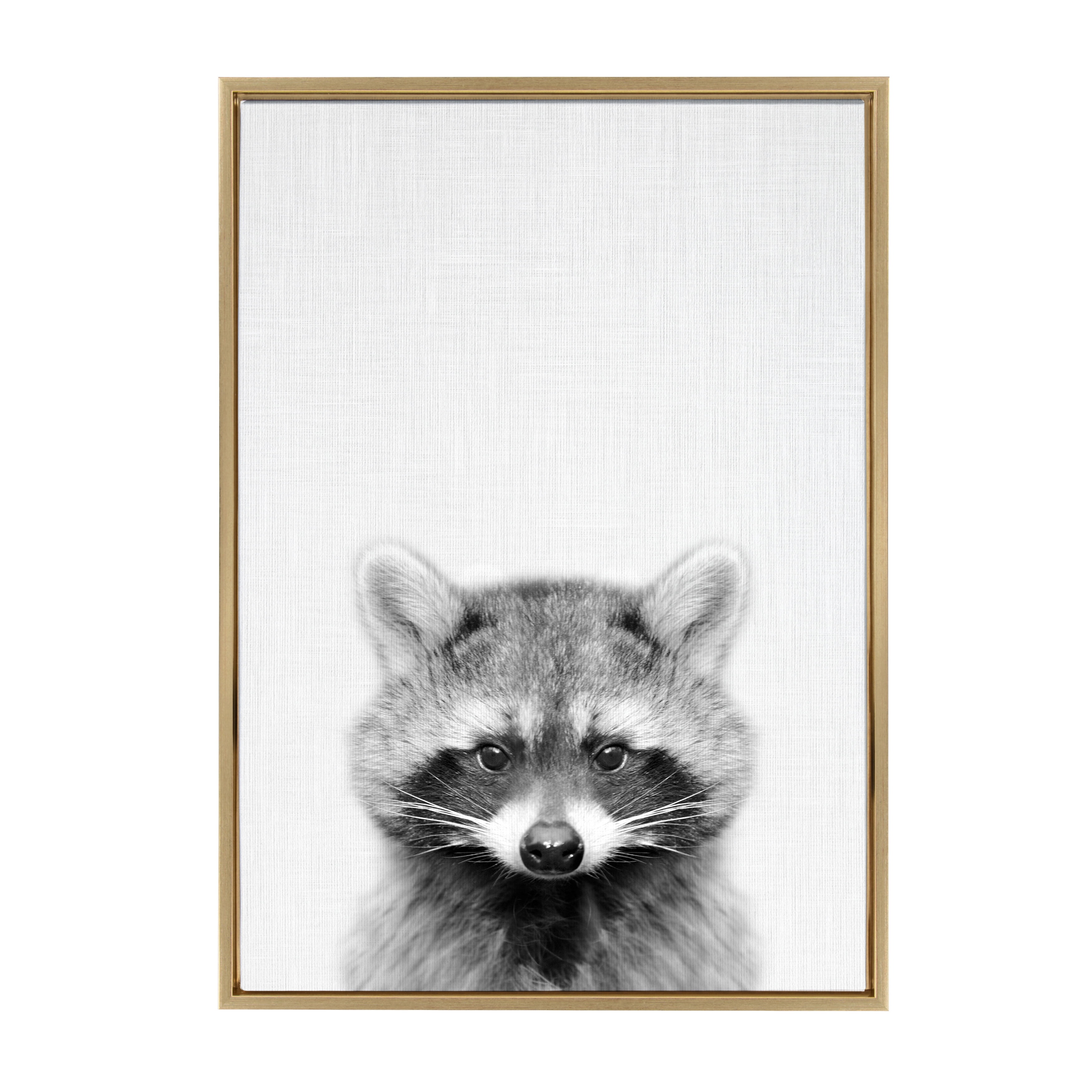 Gold Framed Black and White Raccoon Canvas Print