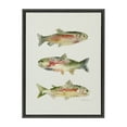thumbnail image 1 of Kate and Laurel Sylvie Rainbow Trout Framed Canvas Wall Art by Cathy Zhang, 18x24 Gray, Decorative Nature Art for Wall, 1 of 7
