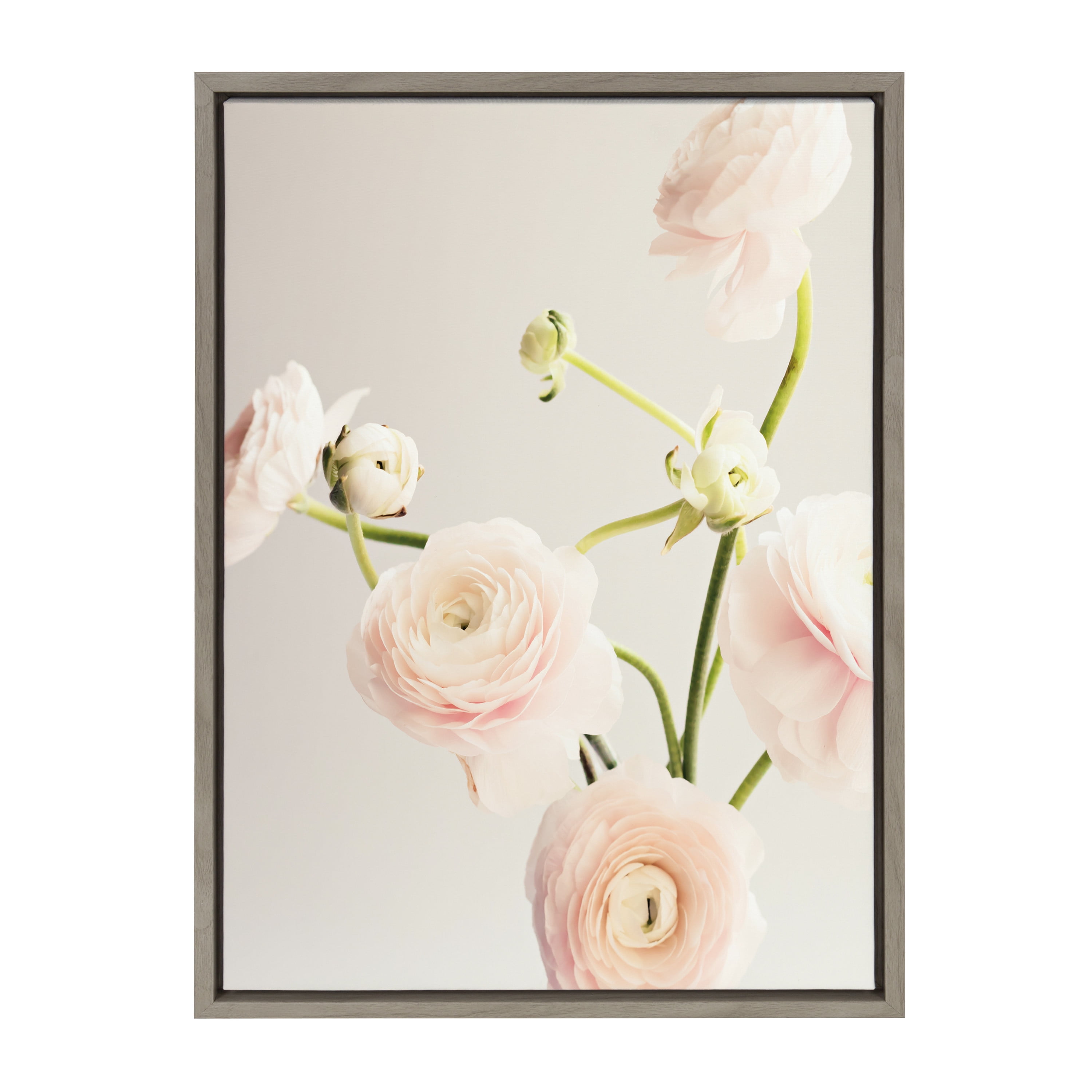Gray Framed Canvas Print with Pink Ranunculus, 18x24