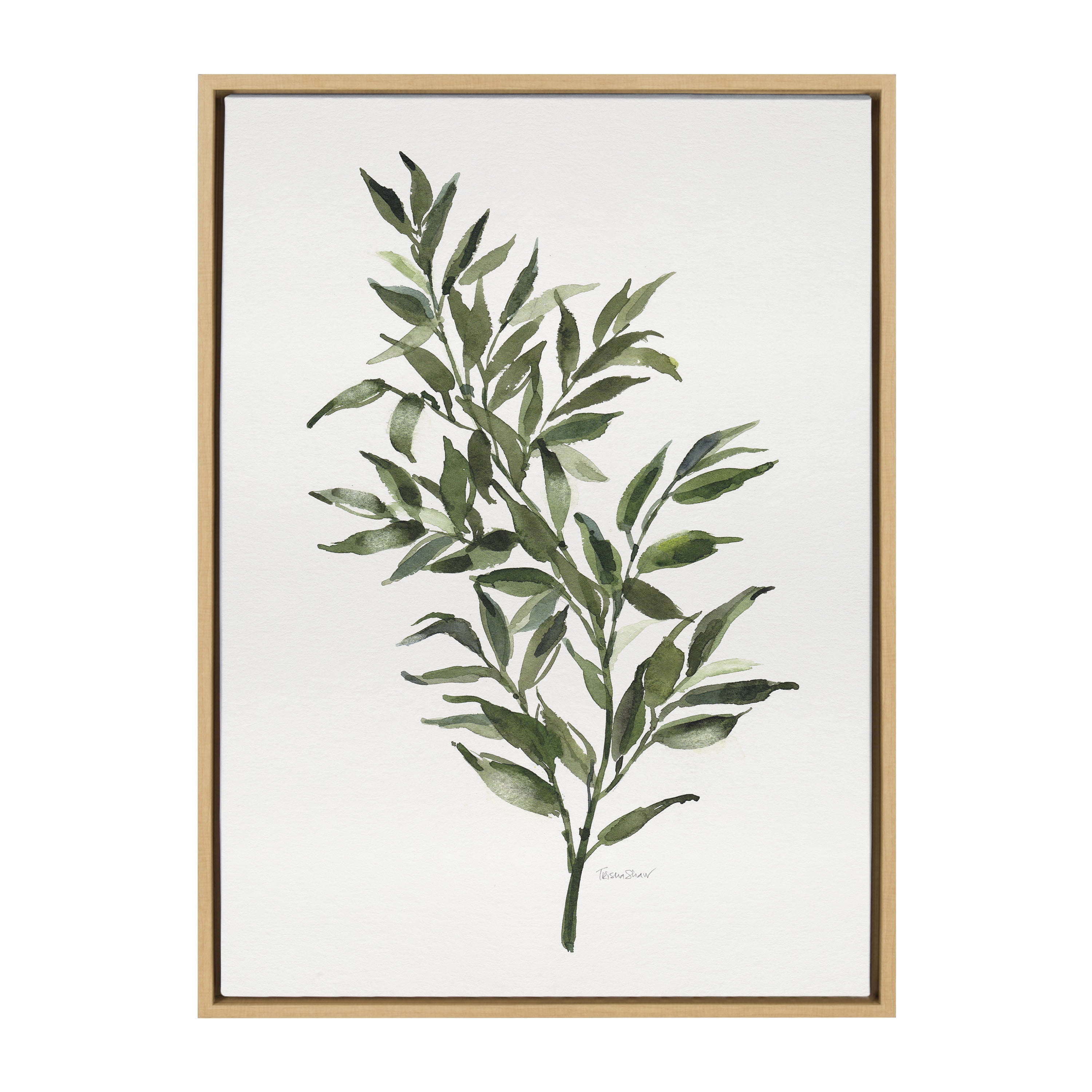 Natural Green Botanical Ruscus Canvas Wall Art Print