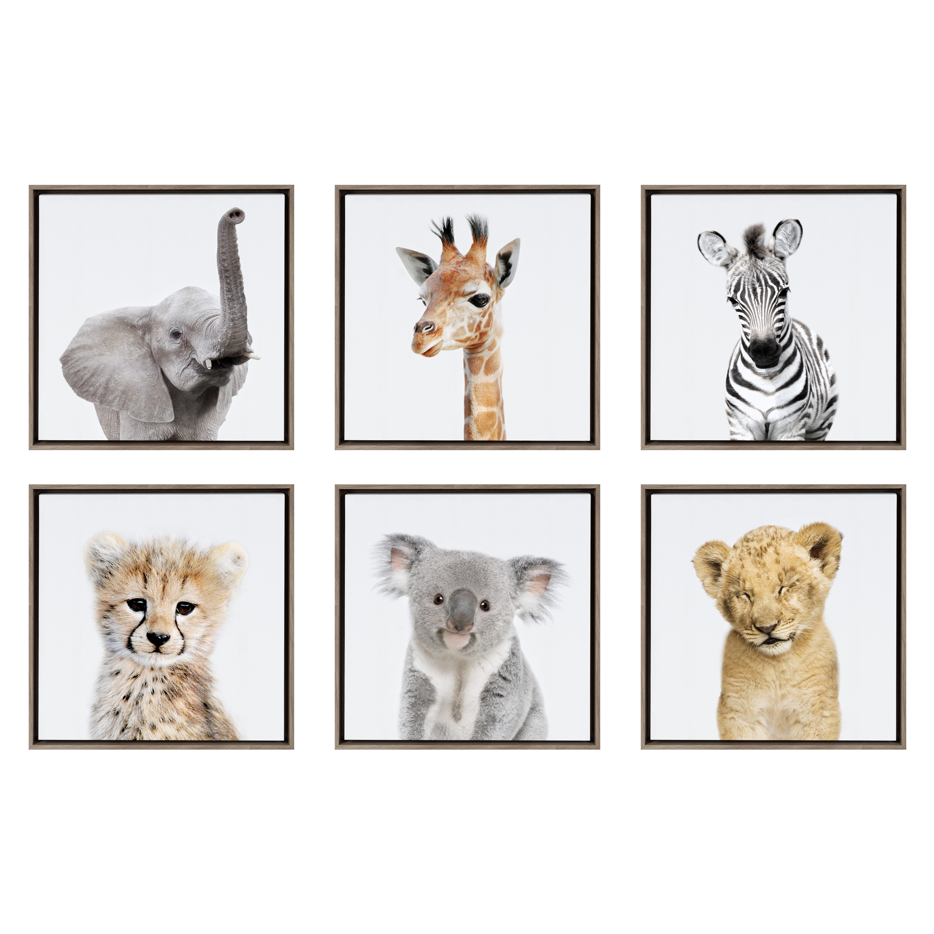 Kate and Laurel Sylvie Safari Animal Collection Framed Canvas Wall Art by Amy  Peterson Art Studio Set of 13x13 Gray Decorative Animal Art for Wall 
