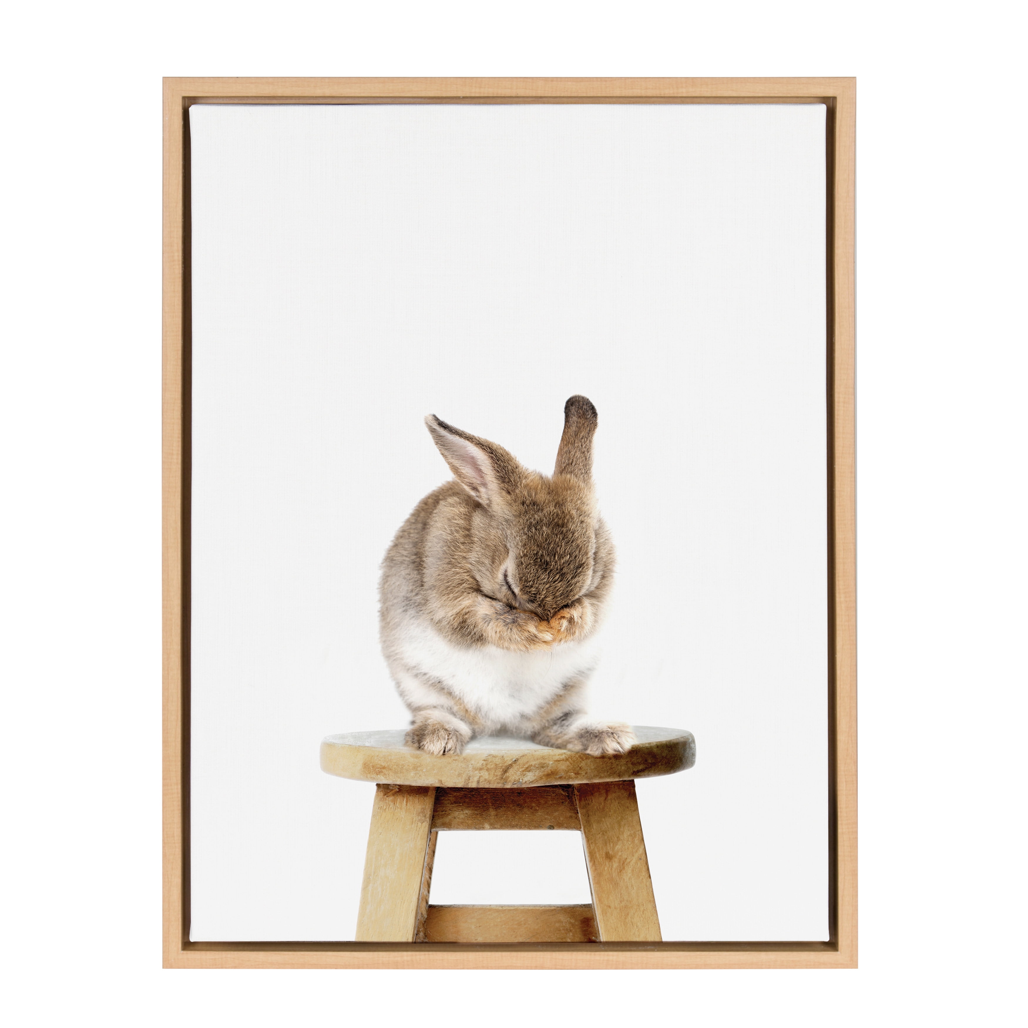 Natural Wood Framed Shy Bunny Rabbit Canvas Print, 18x24