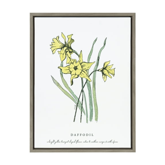 Kate and Laurel Sylvie Spring Daffodil Framed Canvas Wall Art by Statement Goods, 18x24 Gray, Decorative Floral Wall Art