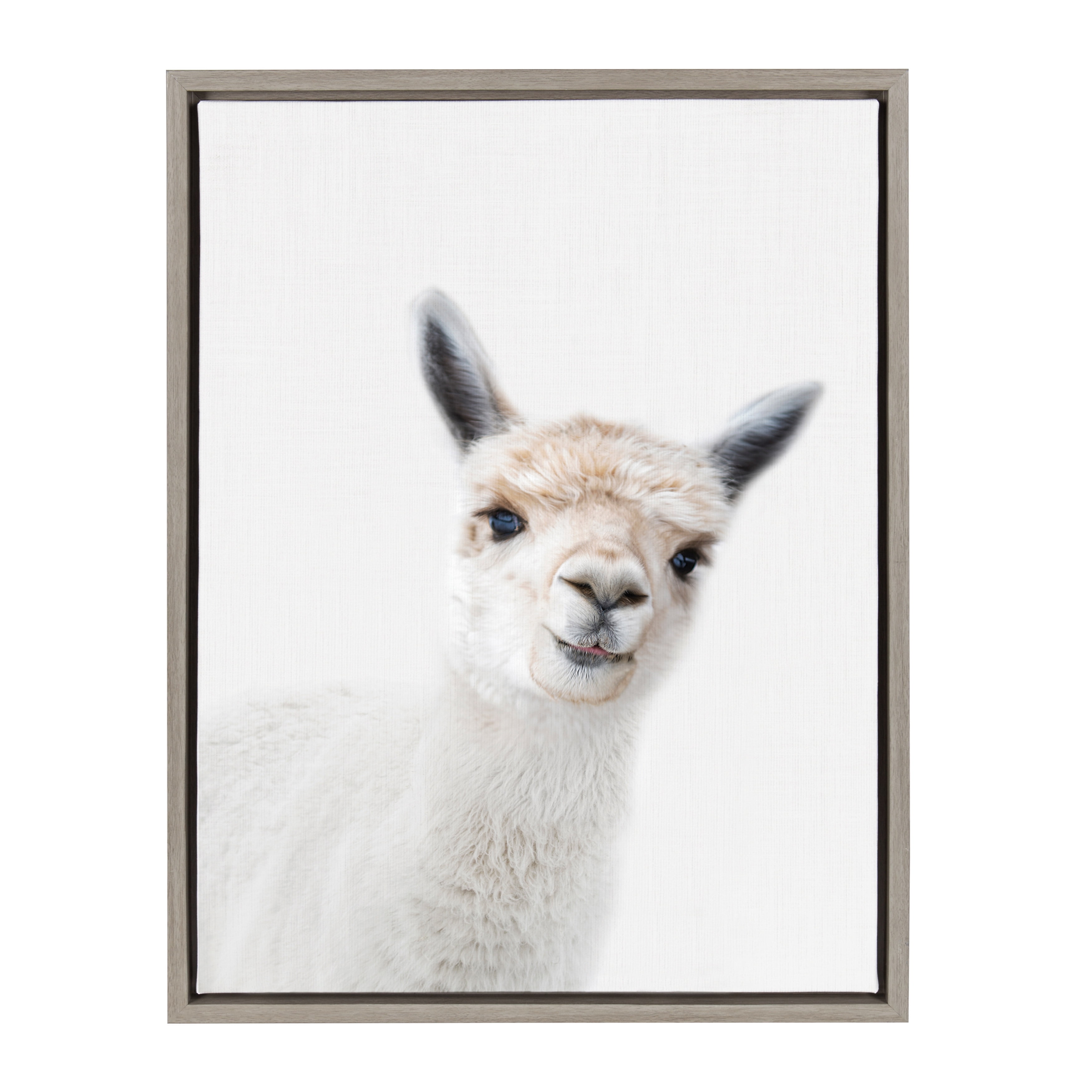 Gray Framed Canvas Print of Alpaca for Nursery