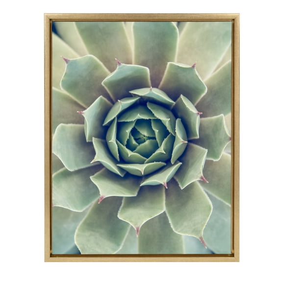 Kate and Laurel Sylvie Succulent 1 Color Photograph Framed Canvas Wall Art by F2 Images, 18x24 Gold