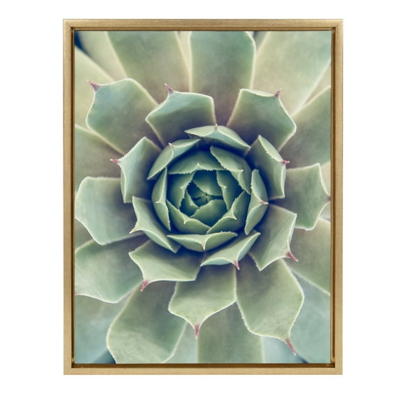 Kate and Laurel Sylvie Succulent 1 Color Photograph Framed Canvas Wall Art by F2 Images, 18x24 Gold