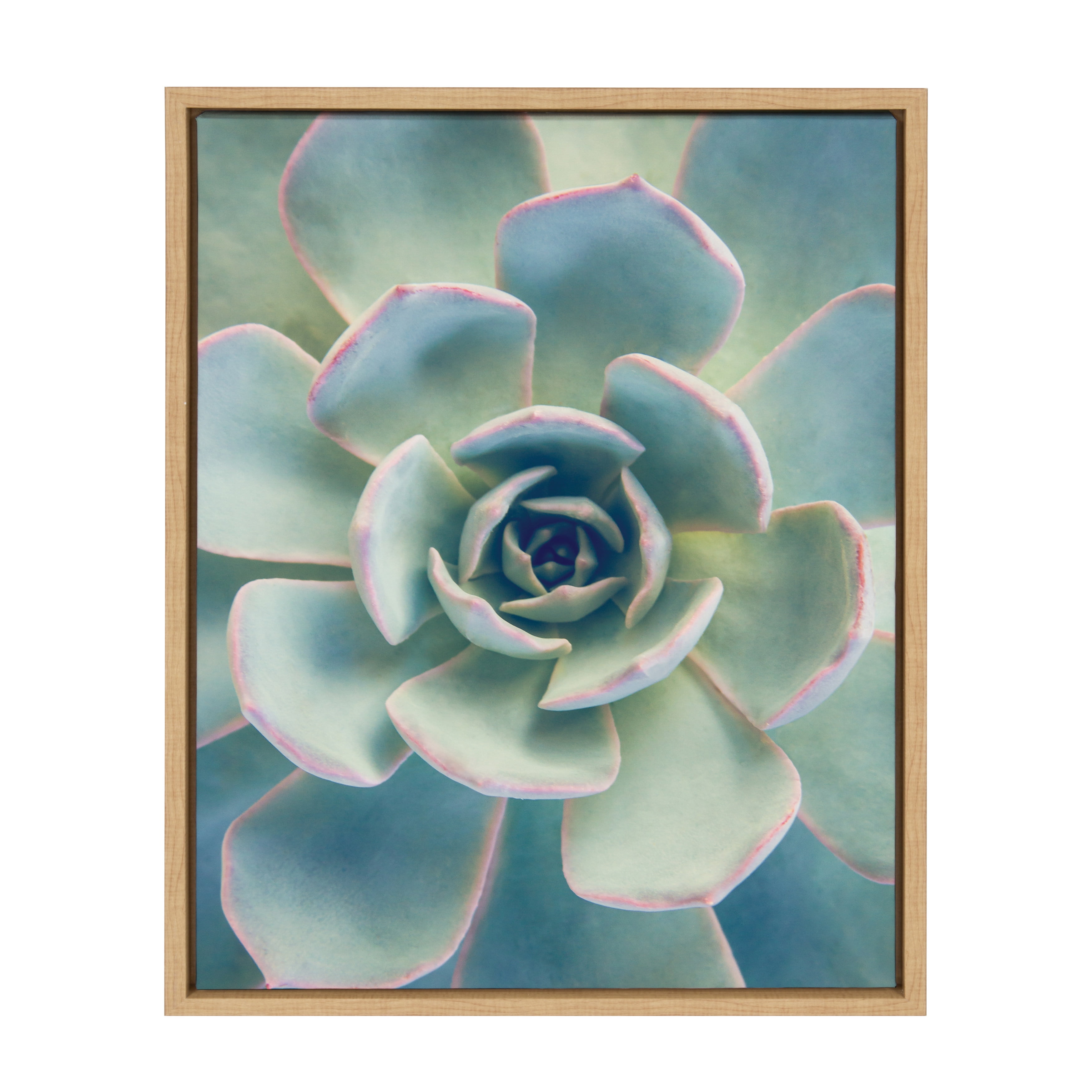Natural Framed Succulent Canvas Wall Art for Kids' Nursery
