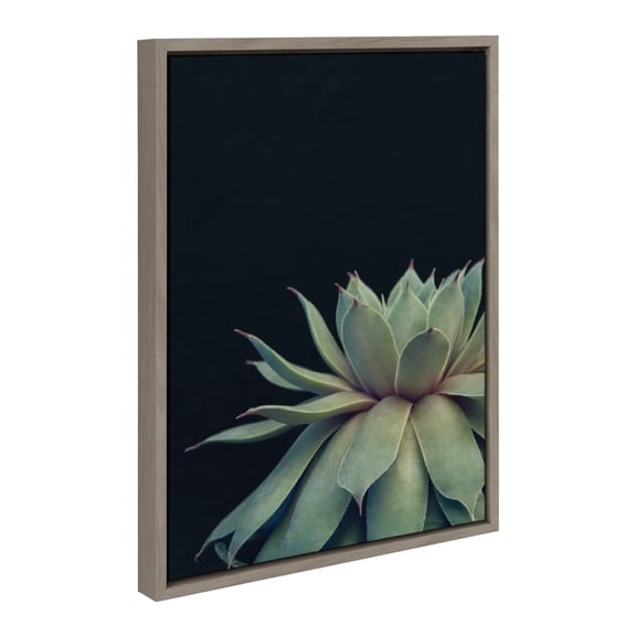Kate and Laurel Sylvie Succulent 8 Framed Canvas Wall Art by Emiko and Mark Franzen of F2Images, 18x24 Gray, Dramatic Greenery Art for Wall