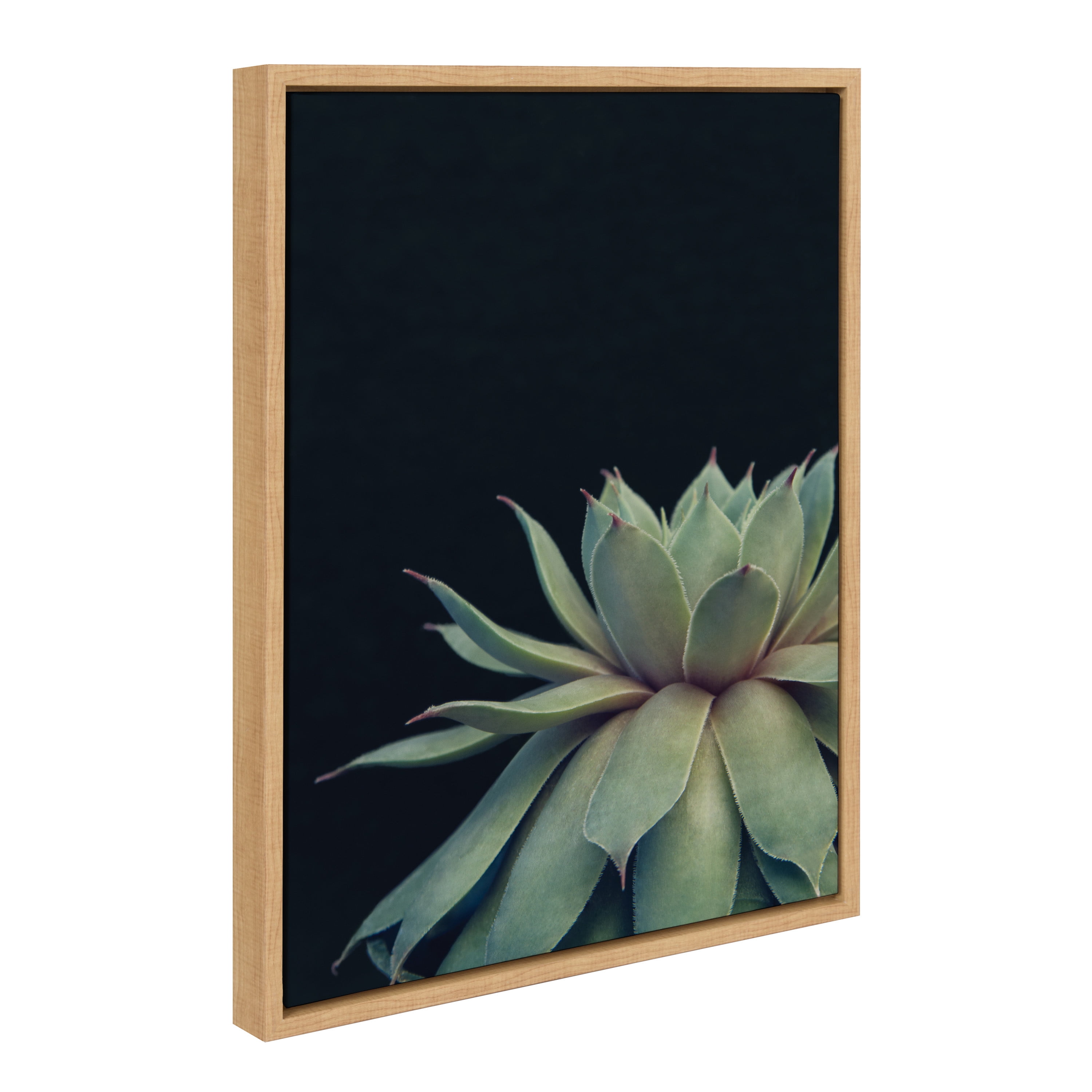 Natural Wood Framed Green Succulent Canvas Print, 18x24