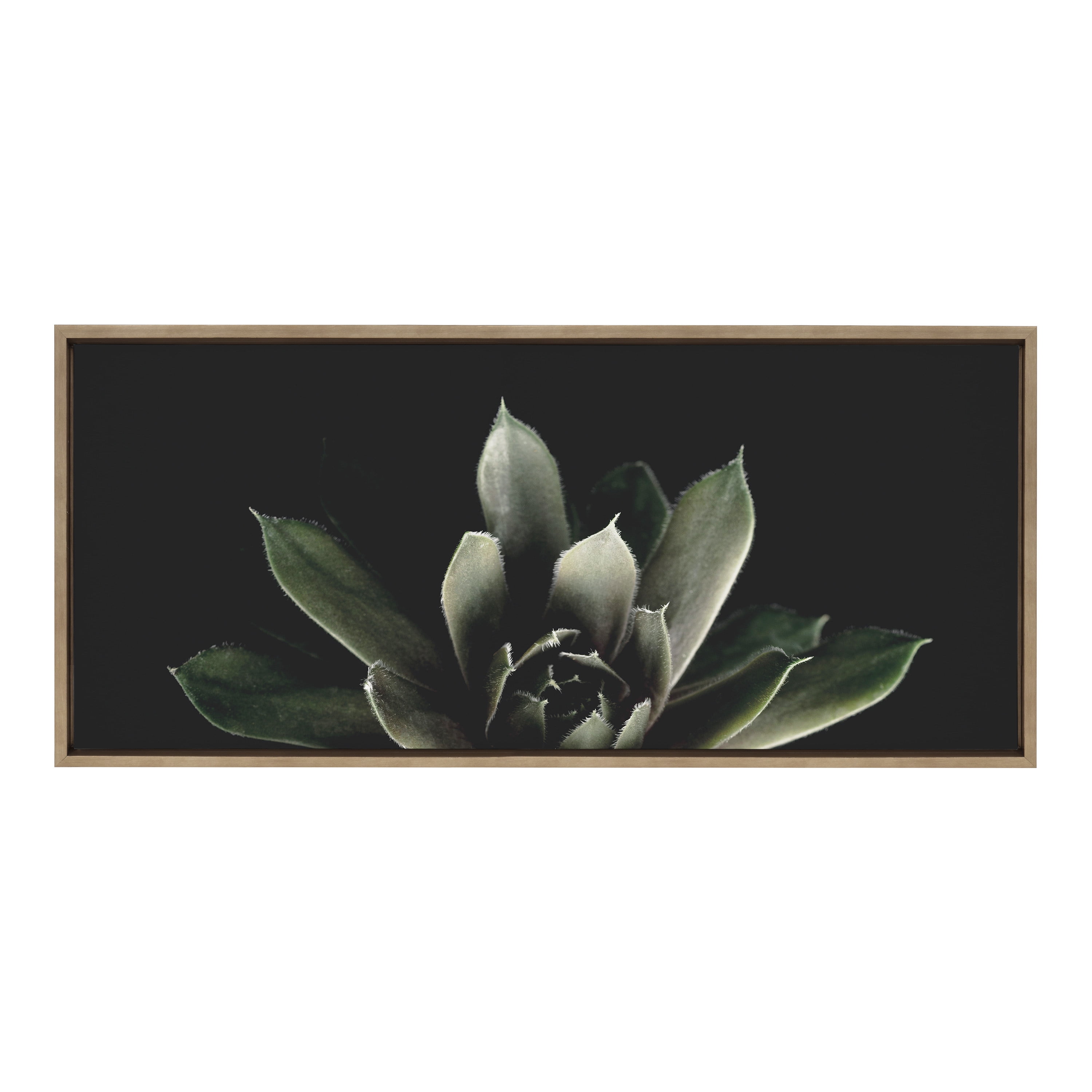Gold Framed Succulent Canvas Wall Art, 20" x 43"