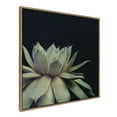 thumbnail image 1 of Kate and Laurel Sylvie Succulent 8 Framed Canvas Wall Art by Emiko and Mark Franzen of F2Images, 30x30 Gold, Dramatic Greenery Art for Wall, 1 of 7