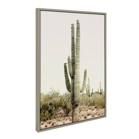 Kate and Laurel Sylvie Sunrise Cactus Framed Canvas Wall Art by Amy Peterson Art Studio, 23x33 Gray, Modern Botanical Cactus Plant Art for Wall