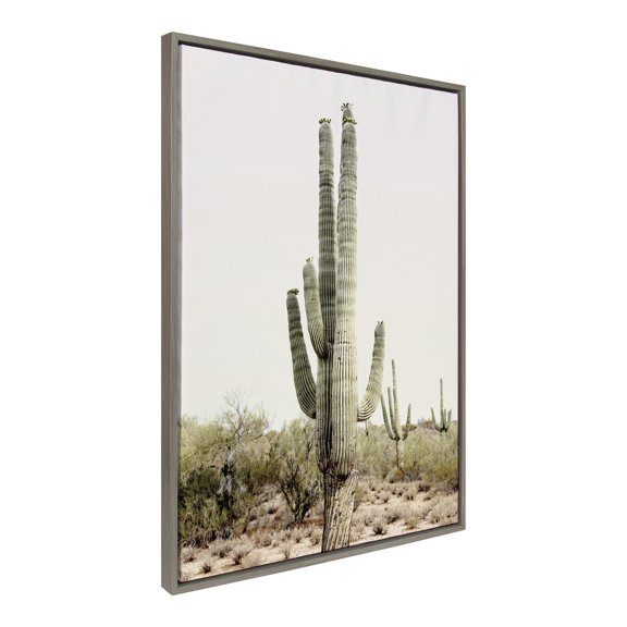 Kate and Laurel Sylvie Sunrise Cactus Framed Canvas Wall Art by Amy Peterson Art Studio, 28x38 Gray, Modern Botanical Cactus Plant Art for Wall