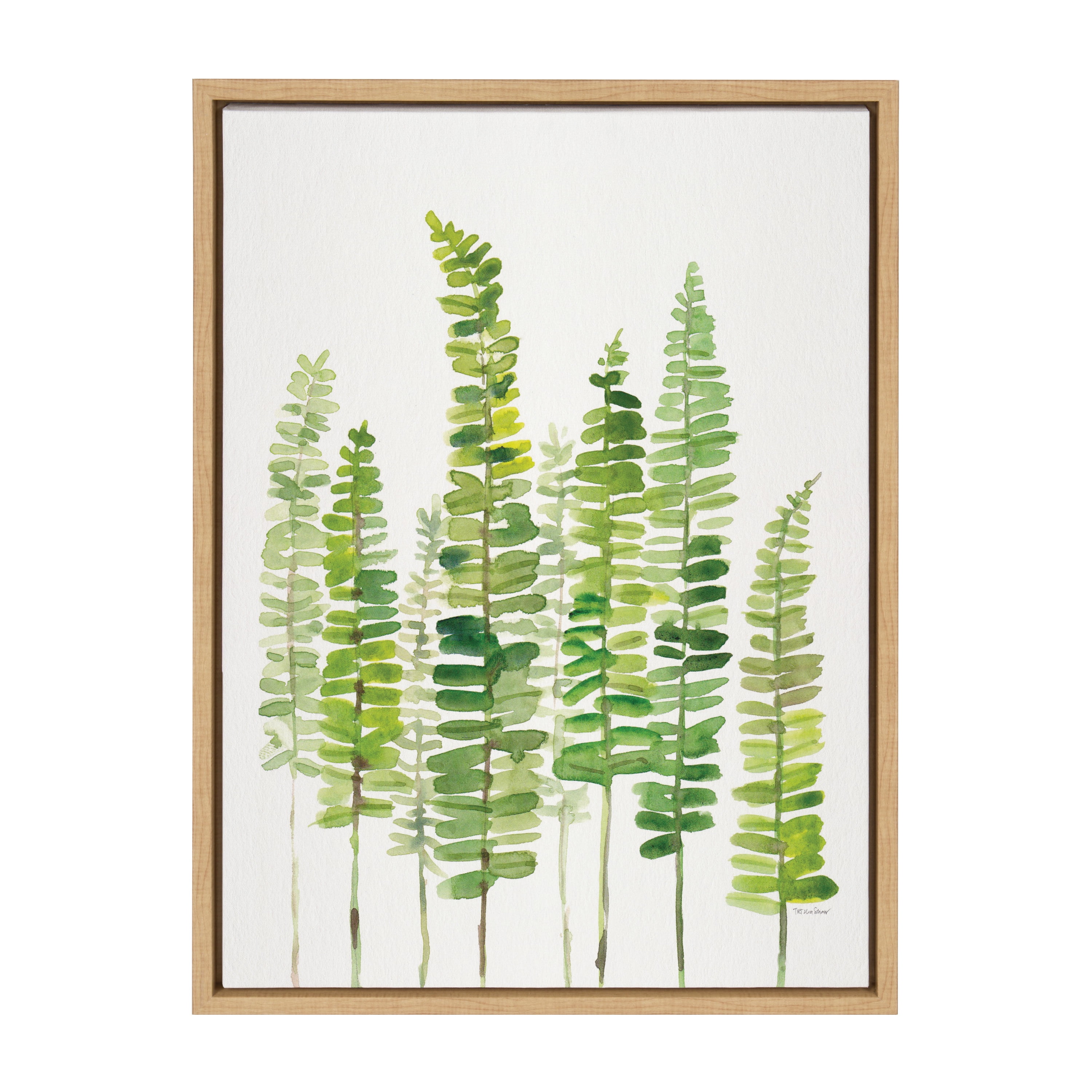 24" x 18" Green Fern Abstract Canvas Print with Natural Frame