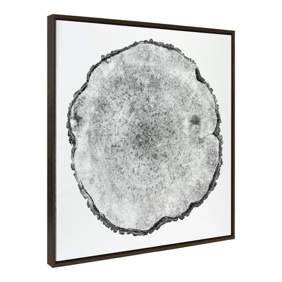 Kate and Laurel Sylvie Tree Rings 1 Framed Canvas Wall Art by Emiko and Mark Franzen of F2Images, 30x30 Brown, Tree Cross-Section Wall Art