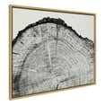 thumbnail image 1 of Kate and Laurel Sylvie Tree Rings BW Framed Canvas Wall Art by Emiko and Mark Franzen of F2Images, 31.5x41.5 Natural, Oversized Organic Tree Wall Art, 1 of 6