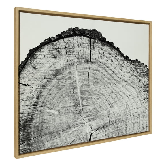 Kate and Laurel Sylvie Tree Rings BW Framed Canvas Wall Art by Emiko and Mark Franzen of F2Images, 31.5x41.5 Natural, Oversized Organic Tree Wall Art