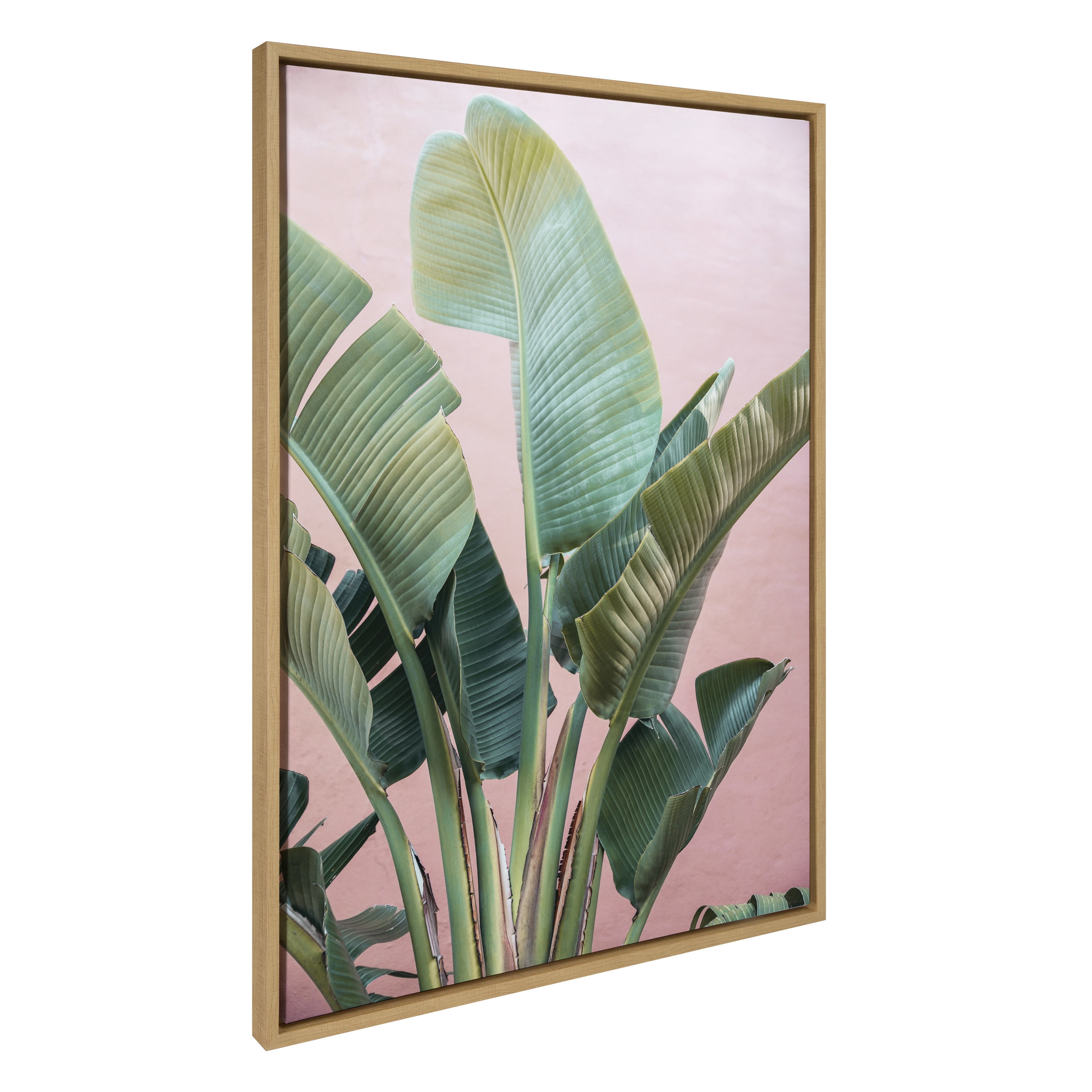 Tropic Pink Framed Canvas Wall Art with Natural Wood Frame