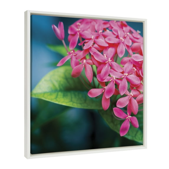 Kate and Laurel Sylvie Tropical Flower Blossom Framed Canvas Wall Art by Stephanie Klatt, 22x22 White, Bright Floral Photography Art for Wall