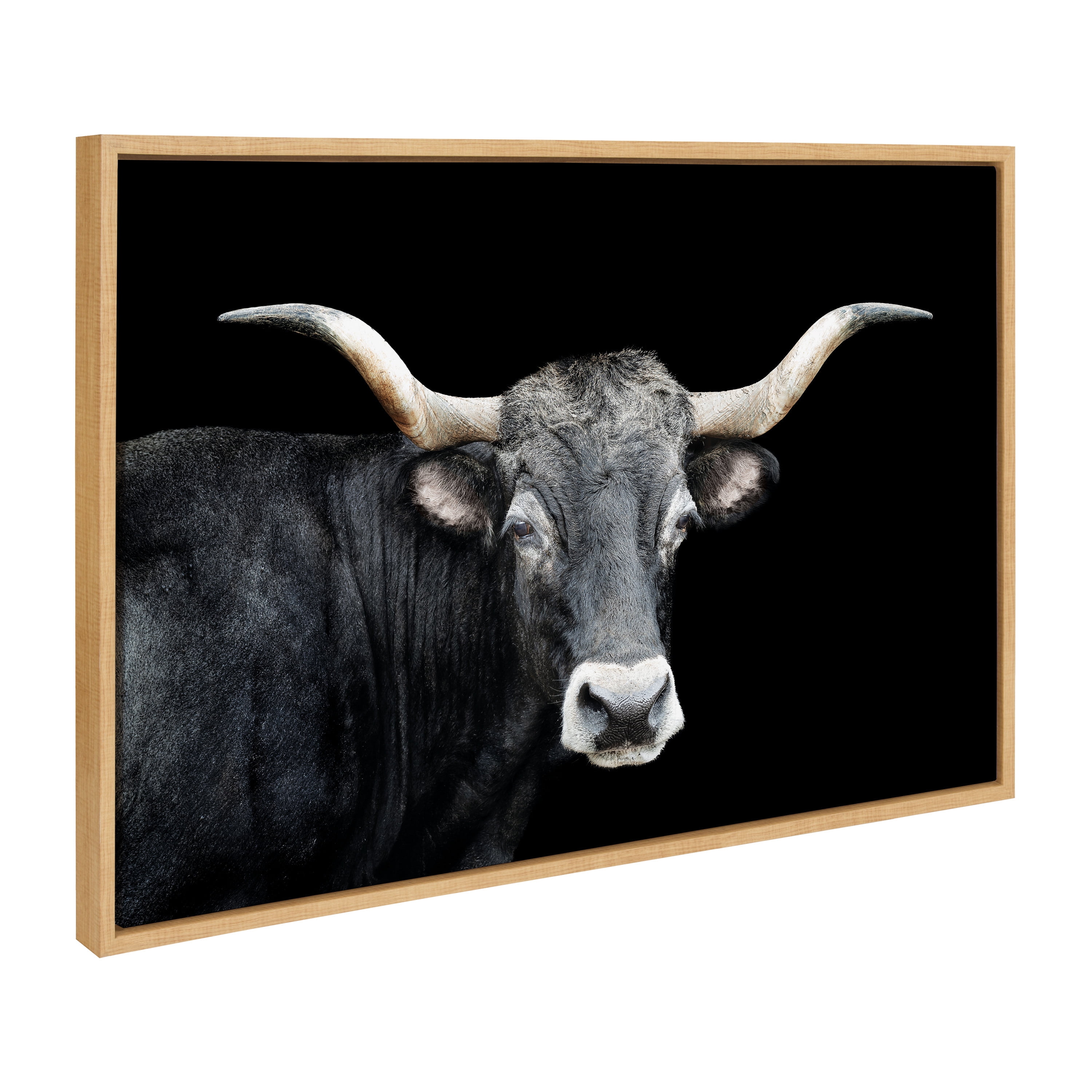 Kate and Laurel Sylvie Tudanca Cow Longhorn Bull Cattle Animal Framed
