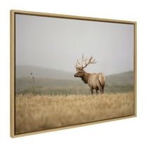 Kate and Laurel Sylvie Tule Elk No 3 Framed Canvas Wall Art by Crystal Lynn Collins, 28x38 Natural, Rustic Animal Wall Decor Art