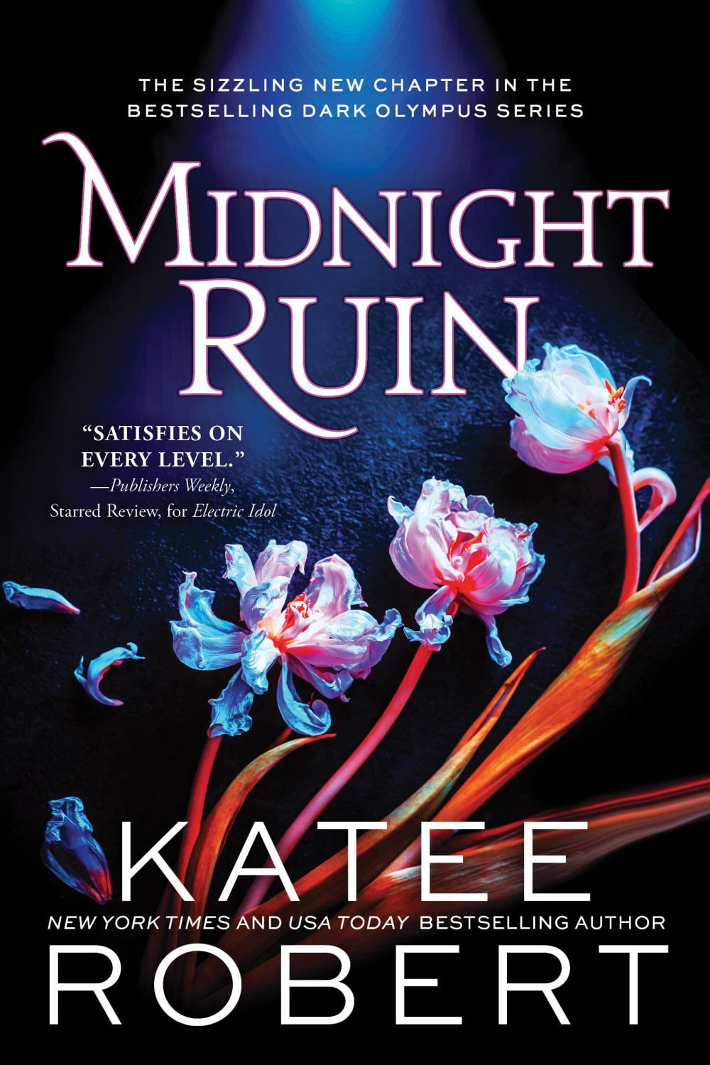 Katee Robert: Midnight Ruin (Paperback)