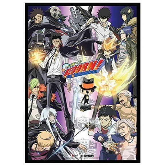 Katekyo Hitman Reborn Officially Licensed Wall Scroll: Group Key Art 33 x 44 Inches