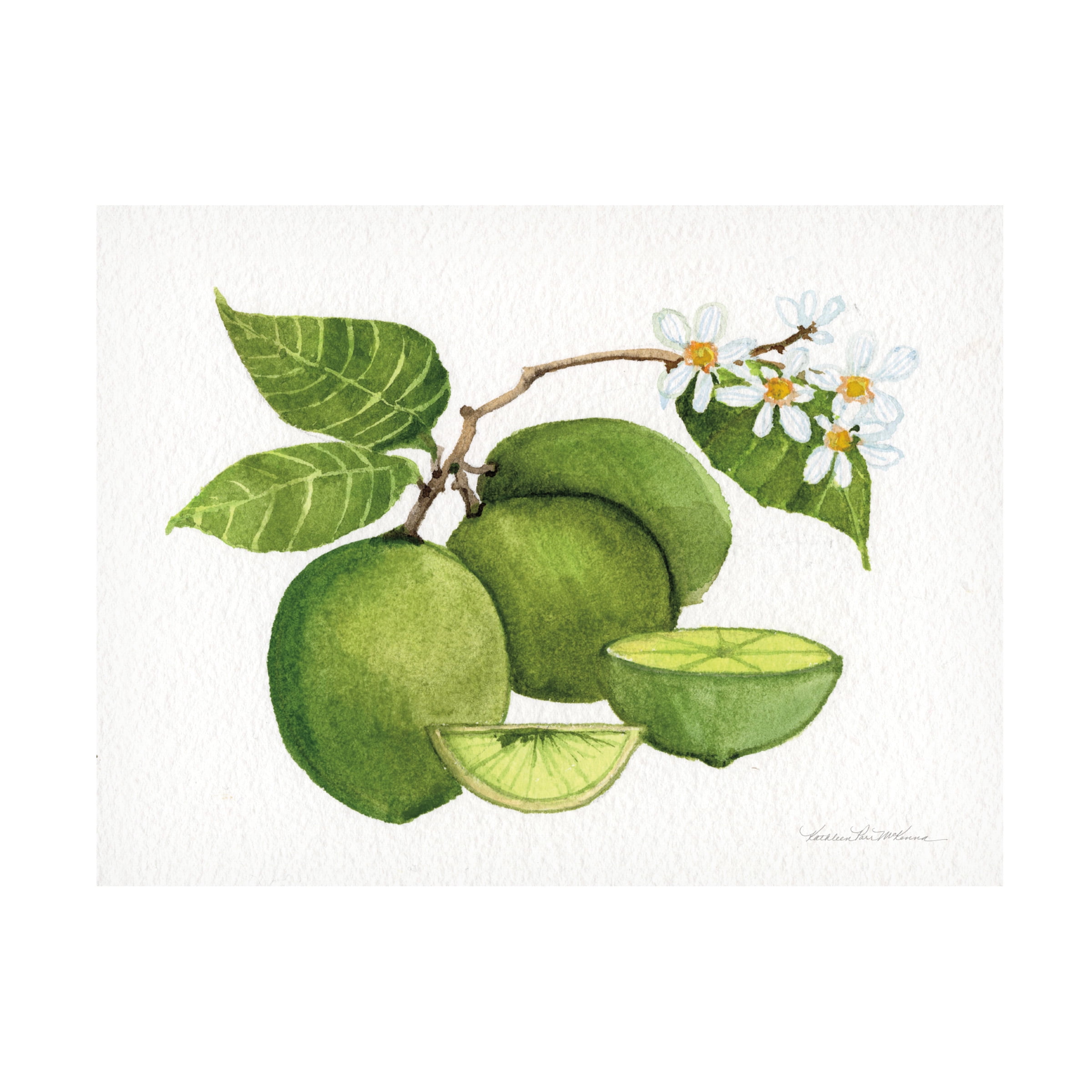 Kathleen Parr McKenna 'Citrus Garden IV' Canvas Art - Walmart.com