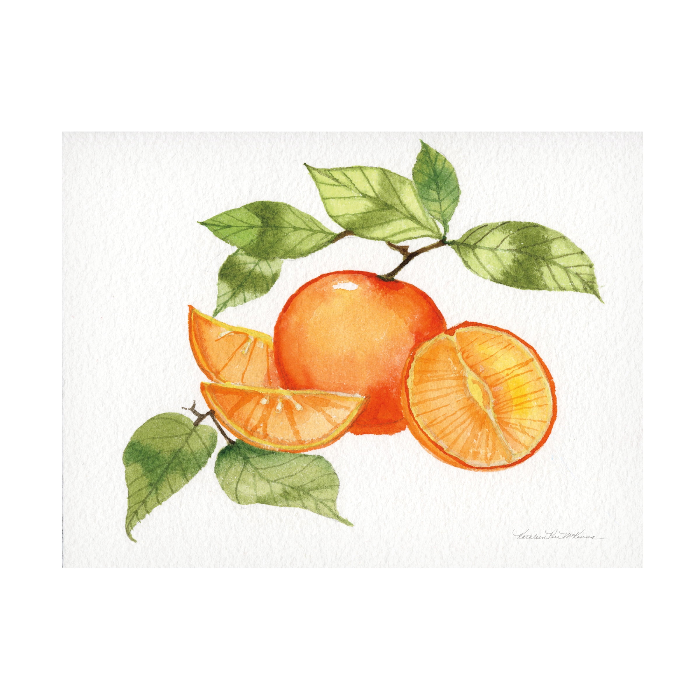 Kathleen Parr McKenna 'Citrus Garden VIII' Canvas Art - Walmart.com