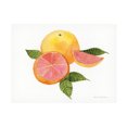 thumbnail image 1 of Kathleen Parr McKenna 'Citrus Garden X' Canvas Art, 1 of 4
