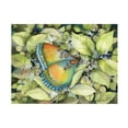 thumbnail image 1 of Kathleen Parr McKenna 'Royal Butterfly' Canvas Art, 1 of 4