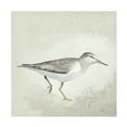 thumbnail image 1 of Kathrine Lovell 'Sea Birds III' Canvas Art, 1 of 3