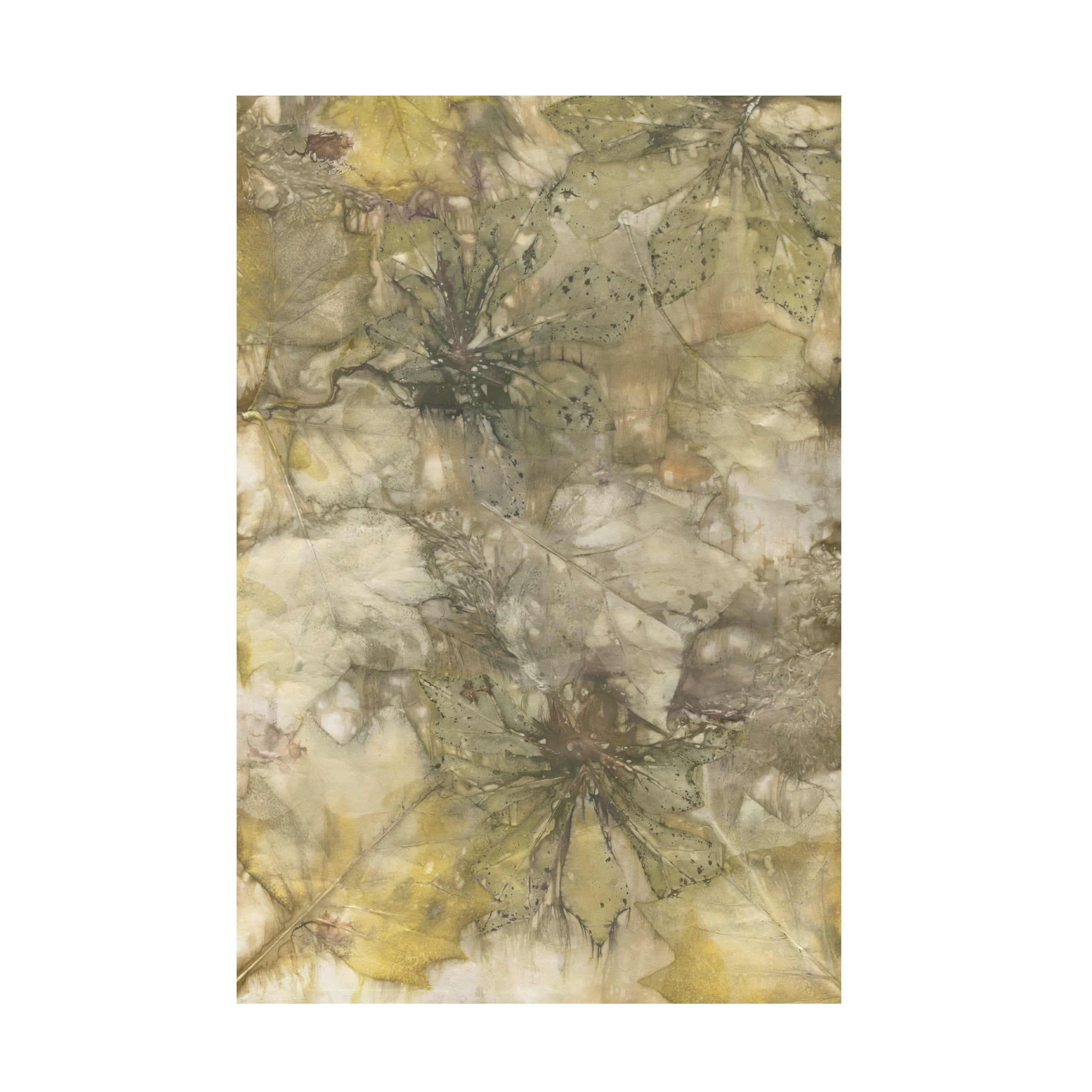 Kathryn Phillips 'Eco Print IV' Canvas Art