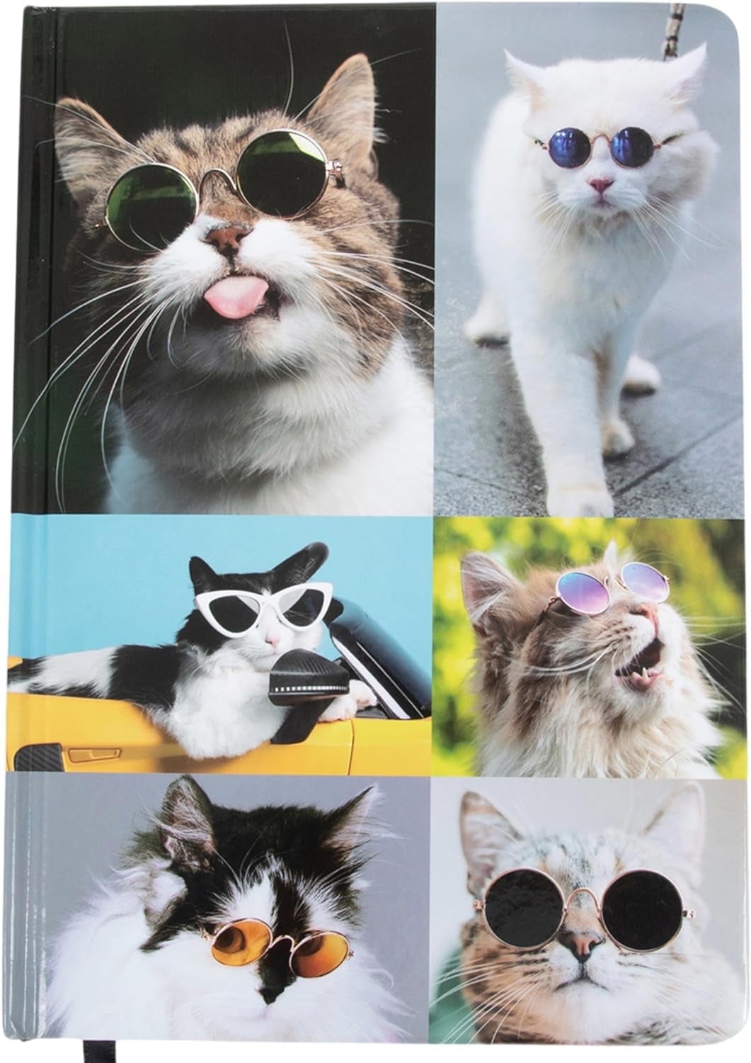 Kathy & Jiggs: Sassy Cat A5 Lined Journal 160 Pages, 5.8 X 8.4 Hardcover Notebook, College Ruled: Cute Aesthetic Gifts for Cat Dads, Mom, Kids, Animal Lovers, Men, Women, Note Book, Diary, Journaling