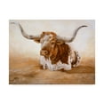 thumbnail image 1 of Kathy Winkler 'Easy Rider Cows' Canvas Art, 1 of 4