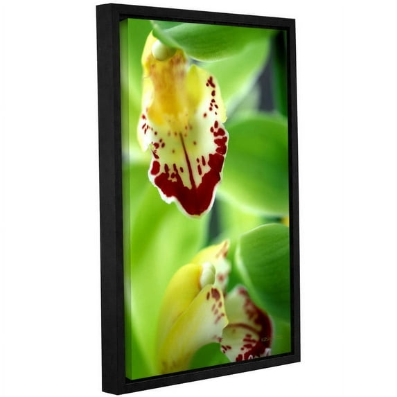 Kathy Yates "Cymbidium Sea Foam Emerald Orchid" Floater-Framed Gallery-Wrapped Canvas