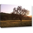 thumbnail image 1 of Kathy Yates "Golden Hour" Gallery-Wrapped Canvas, 1 of 2