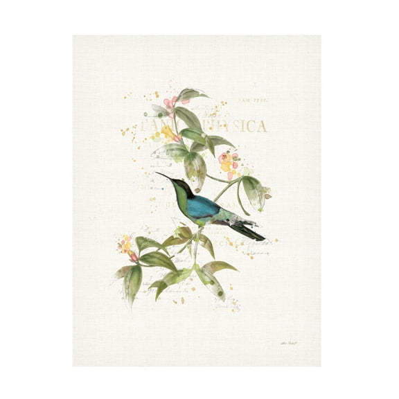 Katie Pertiet 'Colorful Hummingbirds IV' Canvas Art