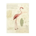 thumbnail image 1 of Katie Pertiet 'Floridian I' Canvas Art, 1 of 1