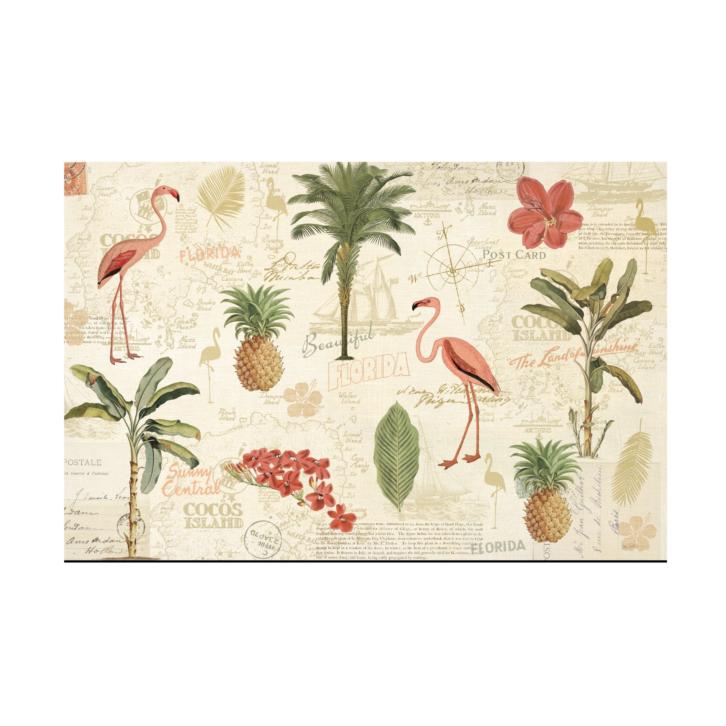 Katie Pertiet 'Floridian VI' Canvas Art