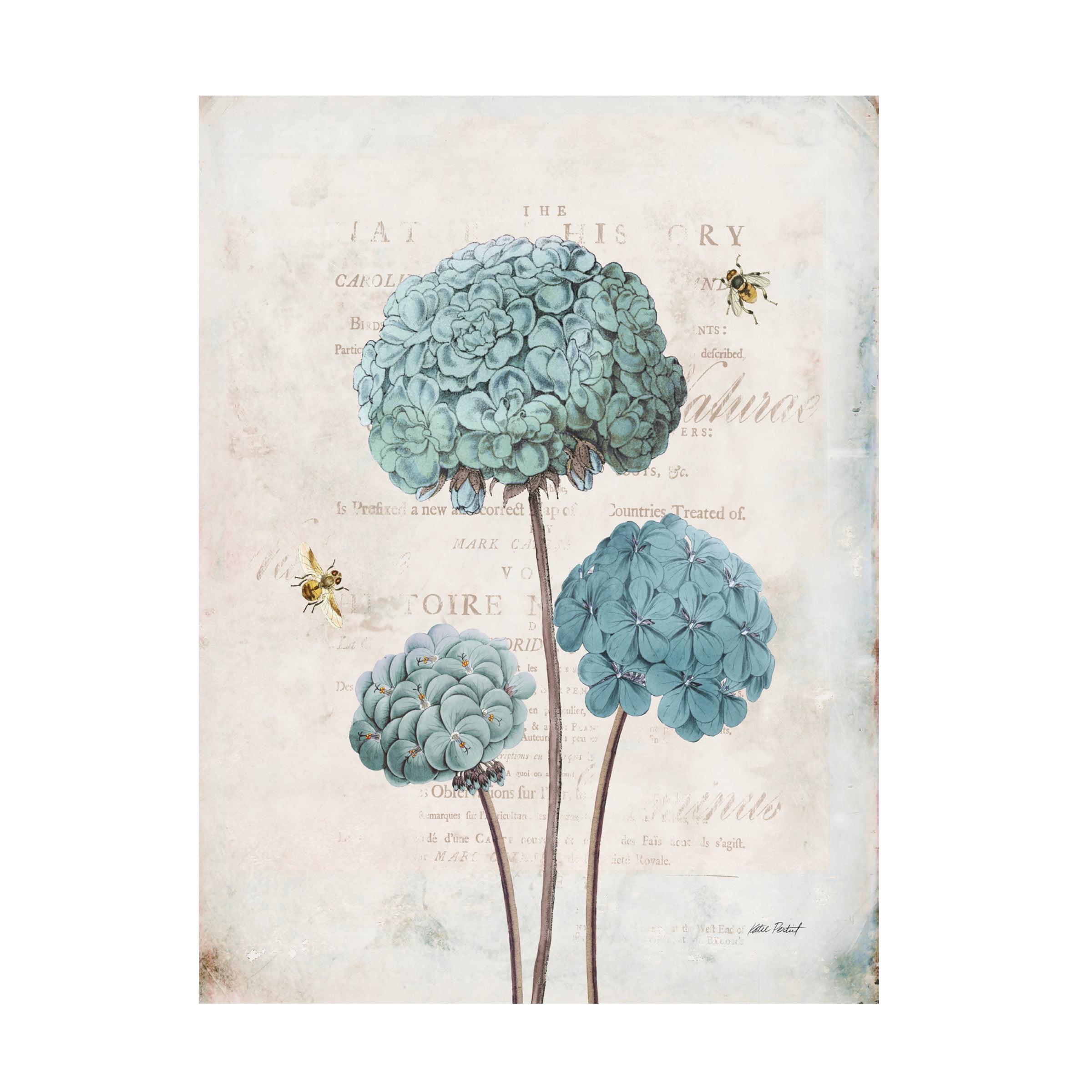 Katie Pertiet 'Geranium Study I' Canvas Art