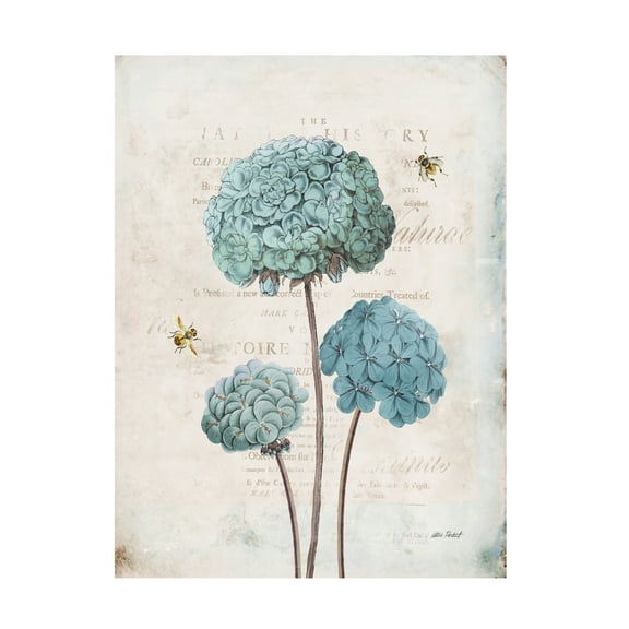 Katie Pertiet 'Geranium Study I' Canvas Art