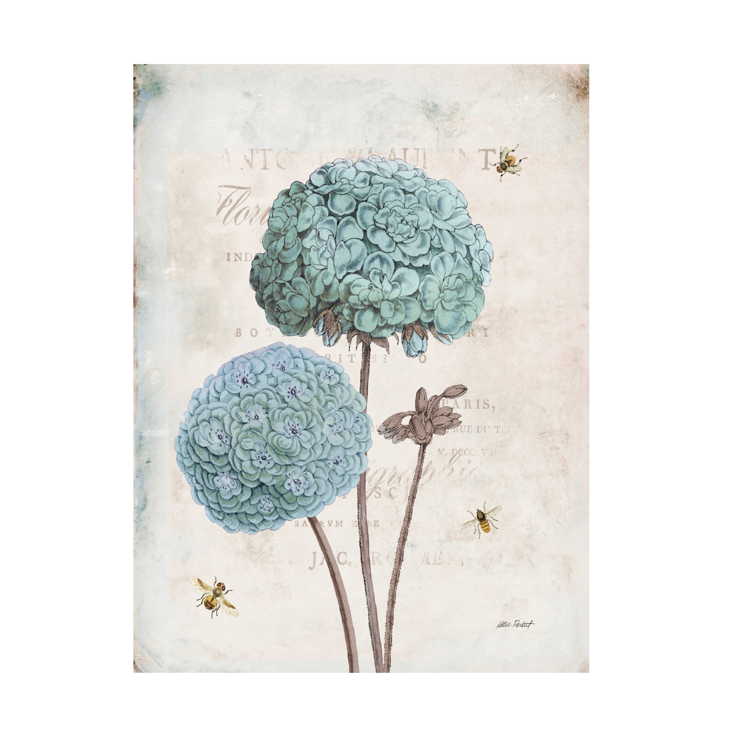 Katie Pertiet 'Geranium Study II' Canvas Art