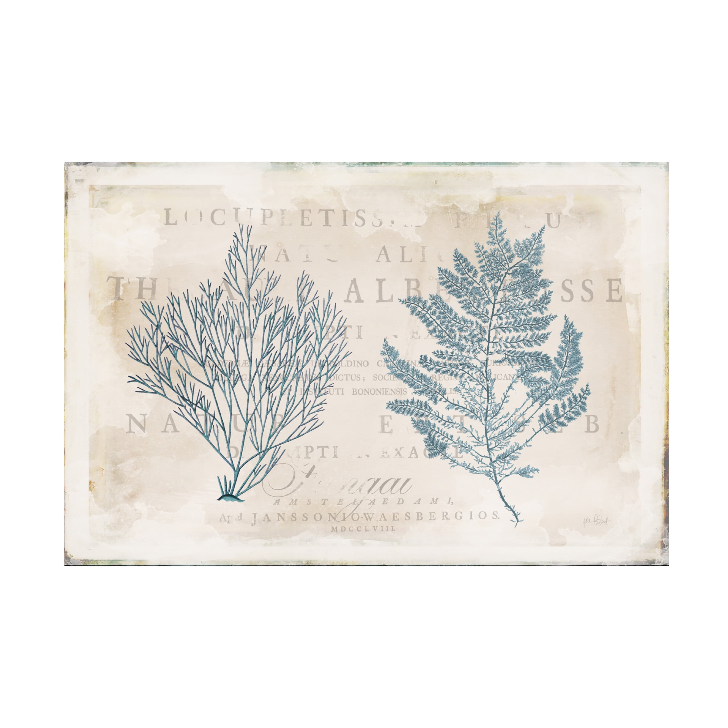 Katie Pertiet 'Sea Garden I' Canvas Art