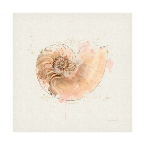 Katie Pertiet 'Shell Collector II' Canvas Art