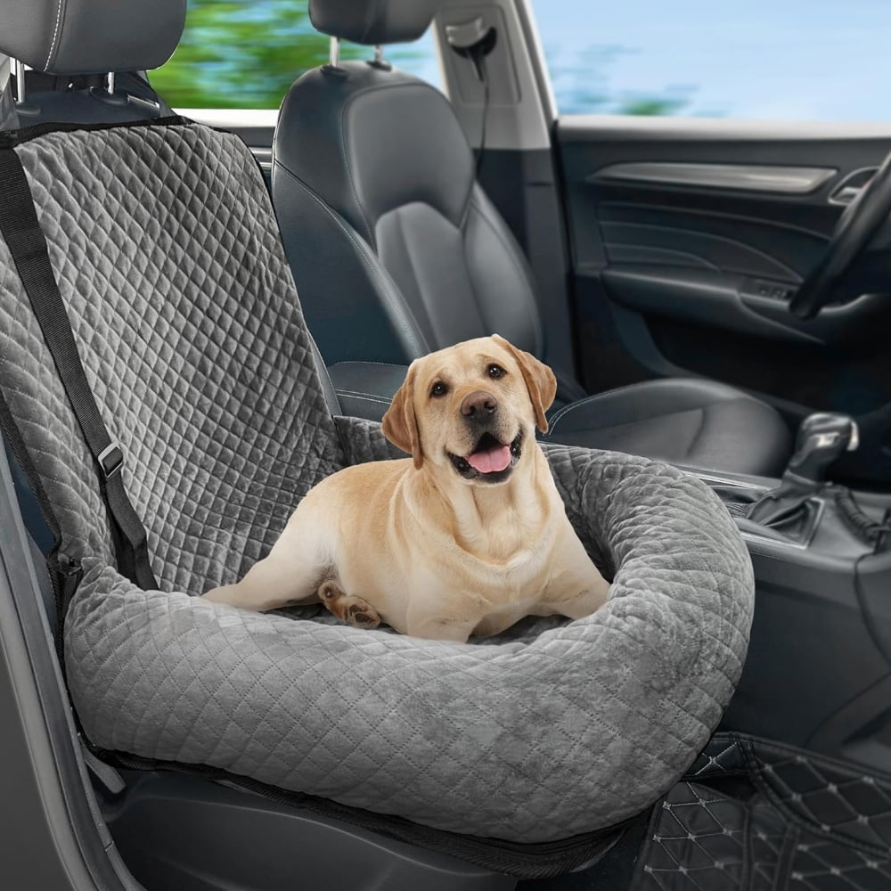 Car booster seat for dogs up to 30lbs best sale